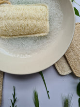 Load image into Gallery viewer, BfefBo Loofah exfoliating sponges, plant-based, natural, compostable
